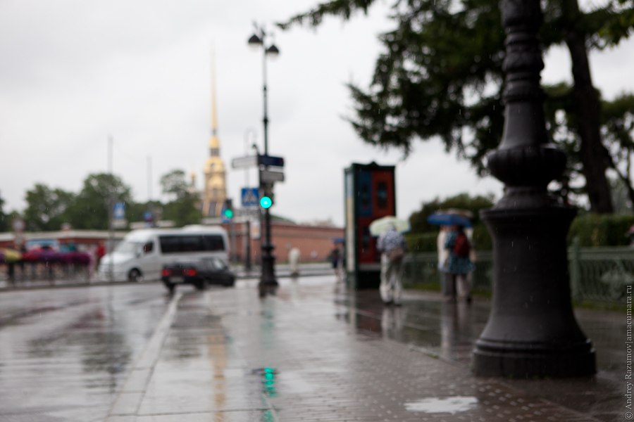 Петербург дождь